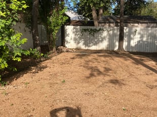 Leaf Removal by Jacob Rodriguez for H. in San Antonio, TX