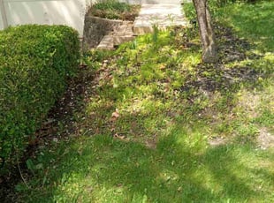 Mulching by Elisha Nelson for Derek L. in Columbus, OH