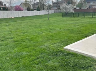 Sonya M.'s Lawn Maintenance service result