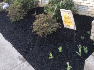 Mulching by China Dowell for Kayla T. in Murfreesboro, TN