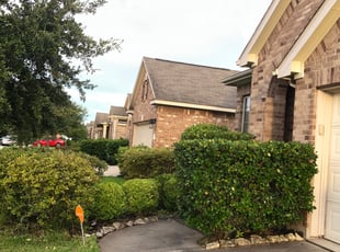 Bush Trimming by Chelle Estades for Stephen R. in Katy, TX