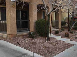 Bush Trimming by Lamont Johnson for Christopher S. in Las Vegas, NV