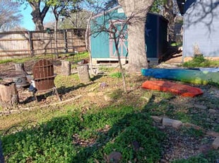 Bush Trimming by Kassandra Winters for Beverly M. in Arlington, TX