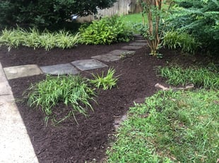 Mulching by Noe Loarca for Fedrico L. in Alexandria, VA