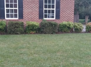 Bush Trimming by Sean Jenkins for Carlos P. in Chesapeake, VA