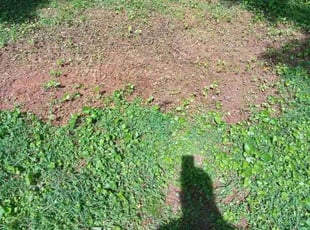 Cleanups by Eric Witherspoon for Jorge V. in Mount Holly, NC