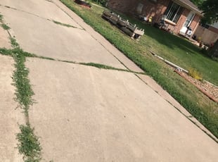 Cleanups by Mario Rocha for Jason M. in Aurora, CO