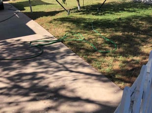 Bush Trimming by Ronald Coleman for Katie S. in Glendale, AZ