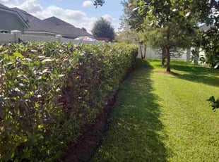 Bush Trimming by Robert Williams for Sankaranarayana K. in Jacksonville, FL