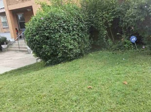 Bush Trimming by Caleb Patton for Asha L. in Cincinnati, OH