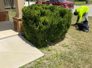 Bush Trimming by Terrance Parker for Lynn S. in Jarrell, TX