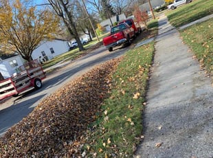 Leaf Removal by Kyle Yacko for Kevin C. in Oak Park, MI