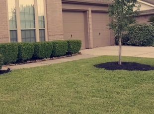 Mulching by Stephanie Ortiz for Twana H. in Humble, TX