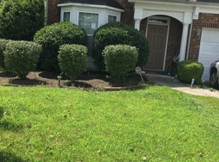 Bush Trimming by Alexis Brothers for Patrick M. in Hiram, GA