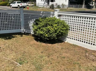 Bush Trimming by Brandon Clements for Clover T. in Bloomfield, CT