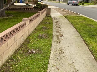Leaf Removal by Michael Archouletta for Lin X. in Rowland Heights, CA