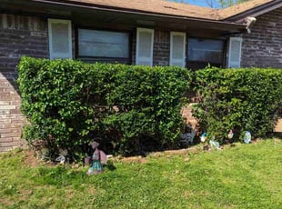 Bush Trimming by Matthew Ghata for Lori H. in Oklahoma City, OK