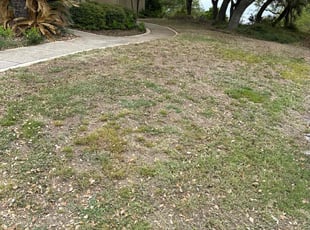 Leaf Removal by Brian Sky for Kenneth P. in San Antonio, TX