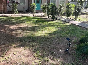 Bush Trimming by Jim Jones IV for Brian M. in Brandon, FL