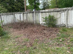 Cleanups by Jamahn M for Evan P. in Richmond, VA