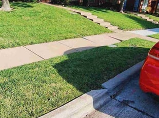 Michael S.'s Yard Cutting service result