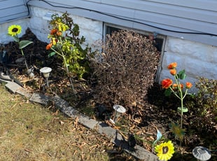 Bush Trimming by Deven Coles for Frances J. in Gloucester City, NJ