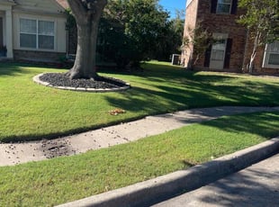 Marggi M.'s Lawn Service service result