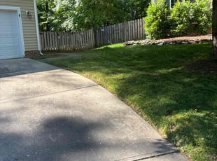 Bush Trimming by Antonio McDonald for Arley W. in Durham, NC