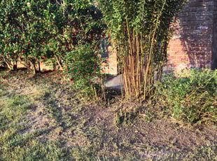 Cleanups by Manuel Nunez for Scott M. in Spring, TX