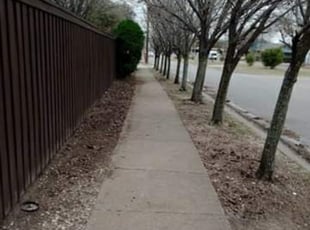 Yanette F.'s Leaf Removal service result