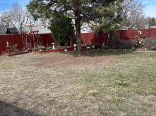 Cleanups by Katherine Lopez Saavedra for Linda R. in Denver, CO