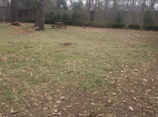 Leaf Removal by Demetrius Curry for Tracey M. in Tulsa, OK