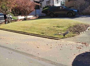 Leaf Removal by Reginald Gaston for Marijane H. in Birmingham, AL