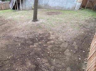 Leaf Removal by Timothy Cardinal for Jacqueline Y. in Schertz, TX