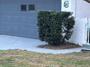 Bush Trimming by Cheryl Badger for Stacey C. in Dunedin, FL