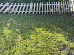 Leaf Removal by Brandon Godinez for Meghan C. in East Providence, RI