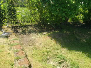 Cleanups by Lazerrick Holiday for Vilma A. in Tacoma, WA