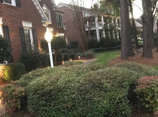 Bush Trimming by Eric Price for Nancy L. in Charlotte, NC