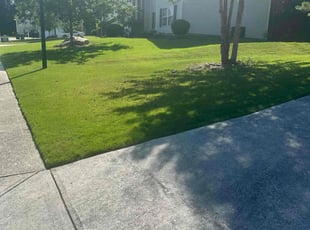 Kevin C.'s Lawn Care service result
