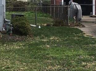 Cleanups by Van Gillum for Andrew R. in Kaw Township, MO