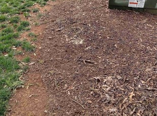 Leaf Removal by Eric Lewis for Beth C. in Charlotte, NC