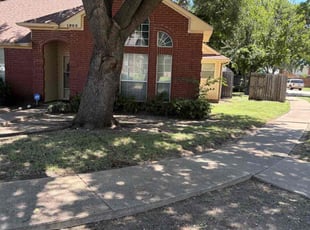 Donald B.'s Leaf Removal service result