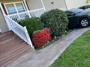 Bush Trimming by Kilo Brooks for Shirrel J. in Fredericksburg, VA