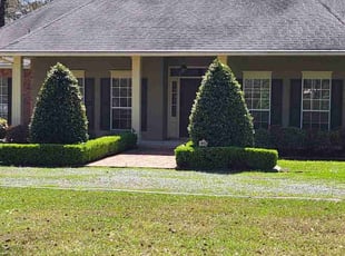Bush Trimming by Jonathan Jones for Karen C. in Covington, LA