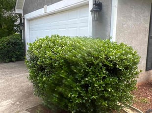 Bush Trimming by Antonio Sandifer for Kenneth P. in Stockbridge, GA