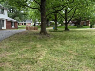 Cleanups by Gabriel Caine for Allan M. in Creve Coeur, MO