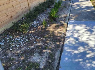 Weeding by Pamela Gomez for Chelsea C. in Houston, TX