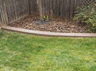 Leaf Removal by Angela Shinaut for Marianna S. in Littleton, CO