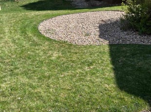 Leaf Removal by Tom Davis for Puneet V. in Littleton, CO