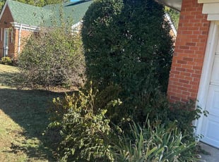 Bush Trimming by Leray Thornton for Tom R. in Norman, OK